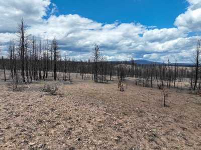 Eastern Oregon Recreational Yellowjacket Creek Property - image 37