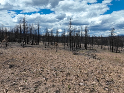 Eastern Oregon Recreational Yellowjacket Creek Property - image 40