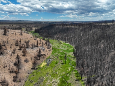 Eastern Oregon Recreational Yellowjacket Creek Property - image 10