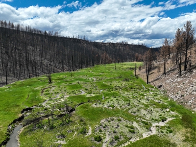 Eastern Oregon Recreational Yellowjacket Creek Property - image 6