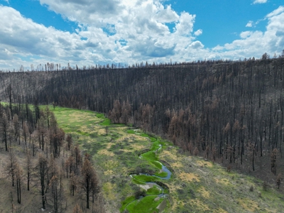Eastern Oregon Recreational Yellowjacket Creek Property - image 21