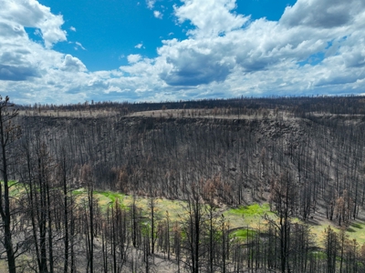 Eastern Oregon Recreational Yellowjacket Creek Property - image 27