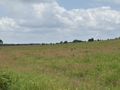 295+/- Acres, 3-Homes, CRP/Income Land, Hunting & Recreational - image 39