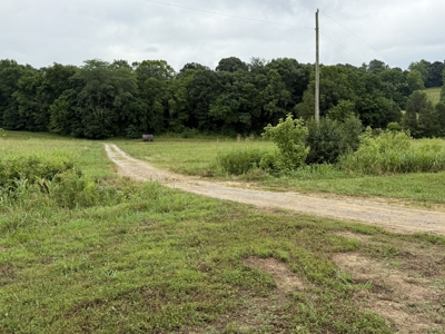 295+/- Acres, 3-Homes, CRP/Income Land, Hunting & Recreational - image 14