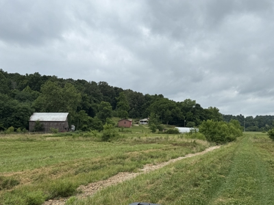 295+/- Acres, 3-Homes, CRP/Income Land, Hunting & Recreational - image 10