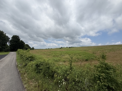 295+/- Acres, 3-Homes, CRP/Income Land, Hunting & Recreational - image 44