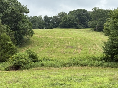 295+/- Acres, 3-Homes, CRP/Income Land, Hunting & Recreational - image 2