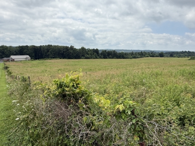 295+/- Acres, 3-Homes, CRP/Income Land, Hunting & Recreational - image 38