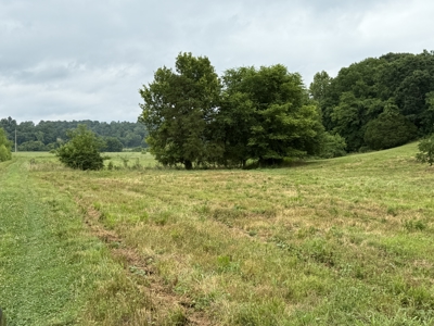 295+/- Acres, 3-Homes, CRP/Income Land, Hunting & Recreational - image 7