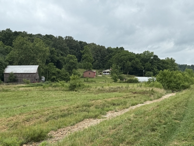 295+/- Acres, 3-Homes, CRP/Income Land, Hunting & Recreational - image 6