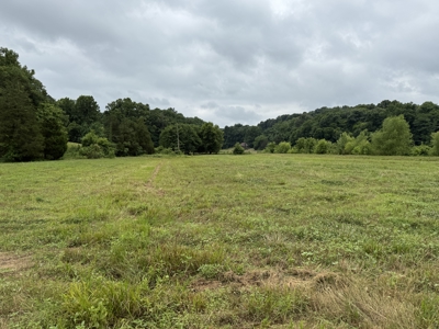295+/- Acres, 3-Homes, CRP/Income Land, Hunting & Recreational - image 1