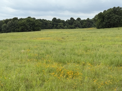 295+/- Acres, 3-Homes, CRP/Income Land, Hunting & Recreational - image 26