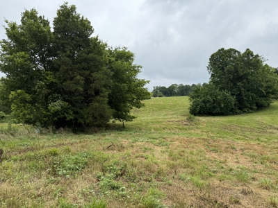 295+/- Acres, 3-Homes, CRP/Income Land, Hunting & Recreational - image 4
