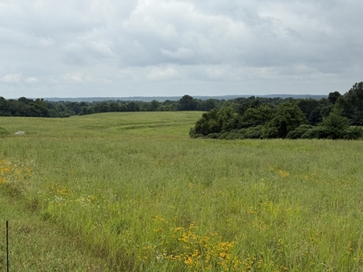 295+/- Acres, 3-Homes, CRP/Income Land, Hunting & Recreational - image 25