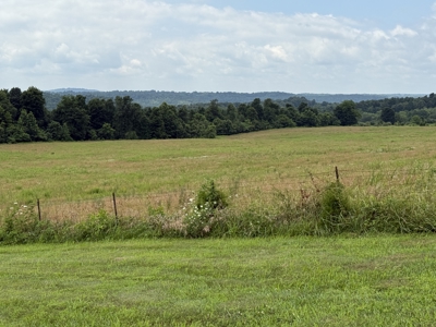 295+/- Acres, 3-Homes, CRP/Income Land, Hunting & Recreational - image 41