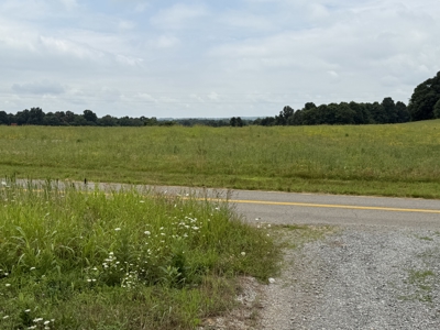 295+/- Acres, 3-Homes, CRP/Income Land, Hunting & Recreational - image 23