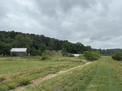 295+/- Acres, 3-Homes, CRP/Income Land, Hunting & Recreational - image 5