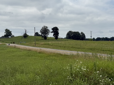 295+/- Acres, 3-Homes, CRP/Income Land, Hunting & Recreational - image 24