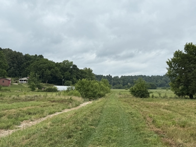 295+/- Acres, 3-Homes, CRP/Income Land, Hunting & Recreational - image 8