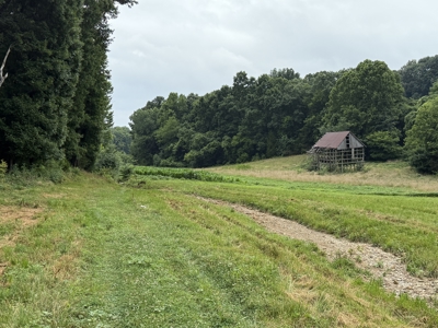 295+/- Acres, 3-Homes, CRP/Income Land, Hunting & Recreational - image 9
