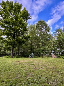 3 Bedroom Home on Wooded Acreage in Sturgeon Lake, MN - image 23