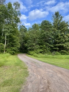 3 Bedroom Home on Wooded Acreage in Sturgeon Lake, MN - image 25