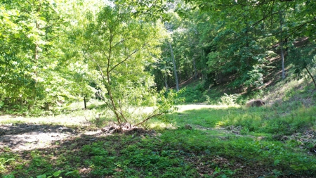 Country Home with Acreage for Sale in Bunker, Missouri - image 27