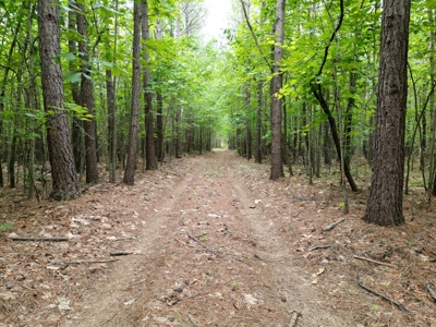 105 Acres of Prime Nelson County Land - Investment & Recreation - image 32