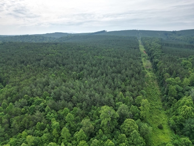 105 Acres of Prime Nelson County Land - Investment & Recreation - image 5