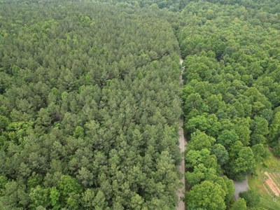 105 Acres of Prime Nelson County Land - Investment & Recreation - image 25