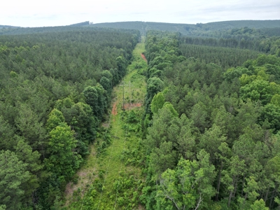 105 Acres of Prime Nelson County Land - Investment & Recreation - image 7