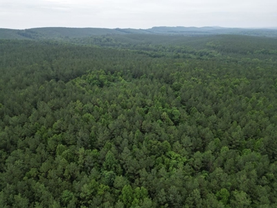 105 Acres of Prime Nelson County Land - Investment & Recreation - image 24