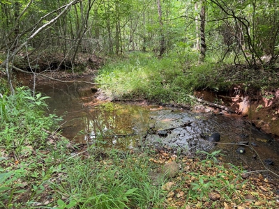 105 Acres of Prime Nelson County Land - Investment & Recreation - image 41