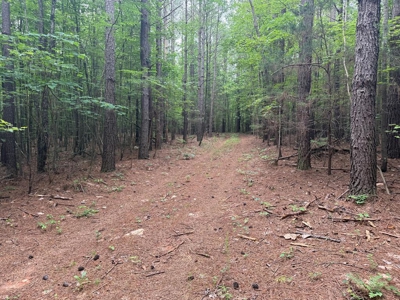 105 Acres of Prime Nelson County Land - Investment & Recreation - image 34