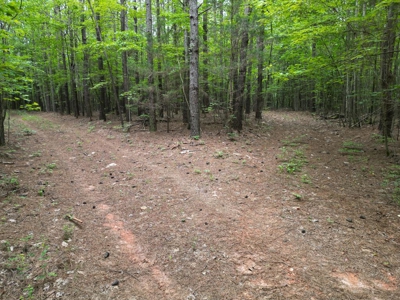 105 Acres of Prime Nelson County Land - Investment & Recreation - image 33