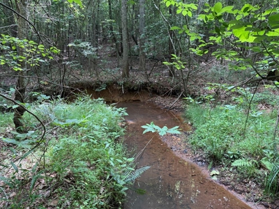 105 Acres of Prime Nelson County Land - Investment & Recreation - image 40