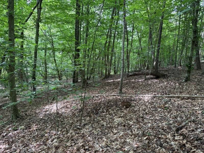 105 Acres of Prime Nelson County Land - Investment & Recreation - image 39