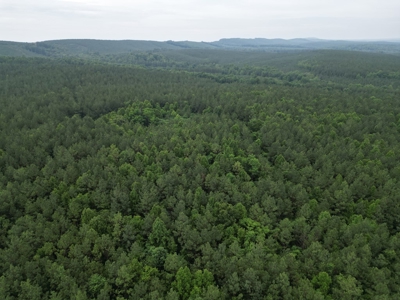 105 Acres of Prime Nelson County Land - Investment & Recreation - image 8