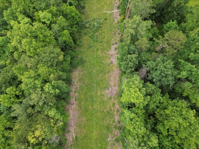 105 Acres of Prime Nelson County Land - Investment & Recreation - image 22