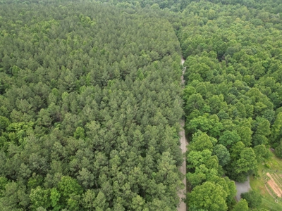 105 Acres of Prime Nelson County Land - Investment & Recreation - image 9