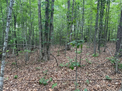 105 Acres of Prime Nelson County Land - Investment & Recreation - image 37
