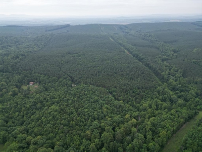 105 Acres of Prime Nelson County Land - Investment & Recreation - image 17