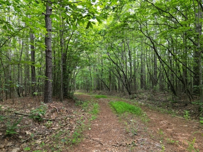 105 Acres of Prime Nelson County Land - Investment & Recreation - image 27