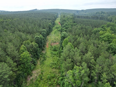 105 Acres of Prime Nelson County Land - Investment & Recreation - image 23