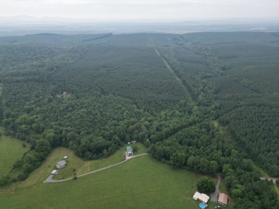 105 Acres of Prime Nelson County Land - Investment & Recreation - image 19