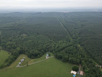 105 Acres of Prime Nelson County Land - Investment & Recreation - image 18