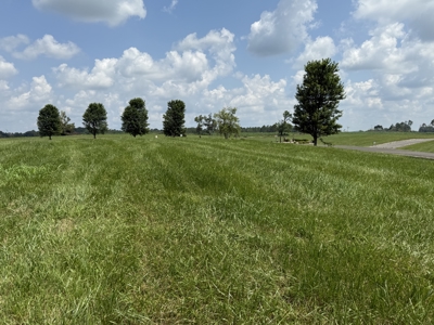 Online Absolute Auction, 2-Beautiful Lake Lots in Stillwater - image 8
