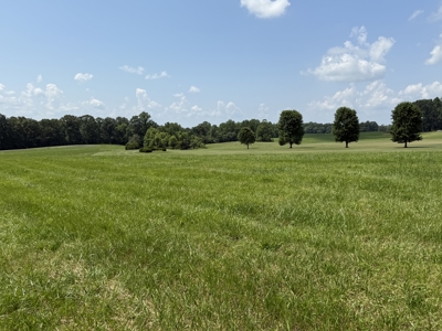 Online Absolute Auction, 2-Beautiful Lake Lots in Stillwater - image 7