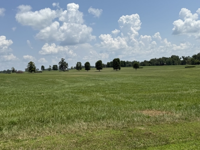 Online Absolute Auction, 2-Beautiful Lake Lots in Stillwater - image 16