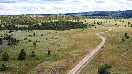80 Acres | Bull Mountains | Elk Camp, Livestock, and Seclusion - image 16